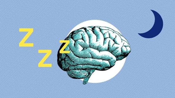 Your Brain Falls Asleep While You Are Still Awake