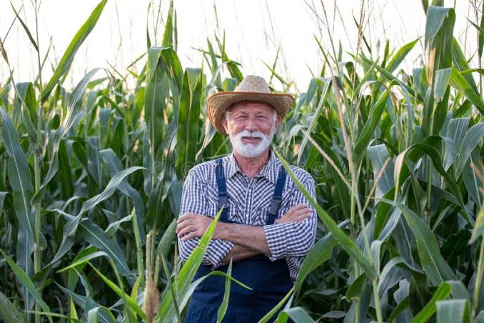 The Old Man Who Planted Happiness Every Day banner