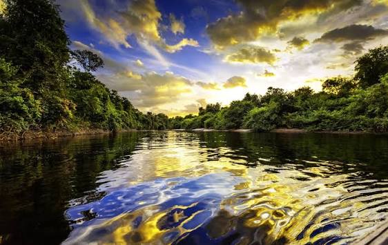 How the Amazon Makes Its Own Rain