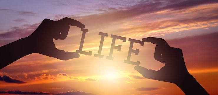 The Game of Life