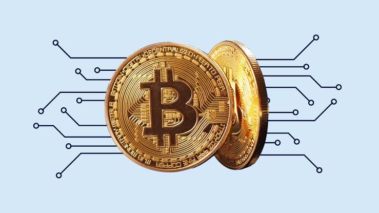 Digital Gold or Digital Gamble?
