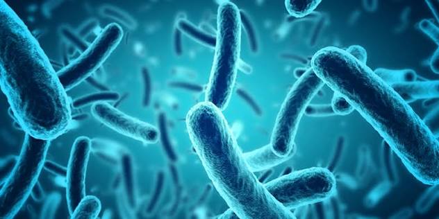 How Bacteria Become Resistant