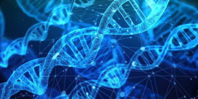 How Genetics Affects Personality